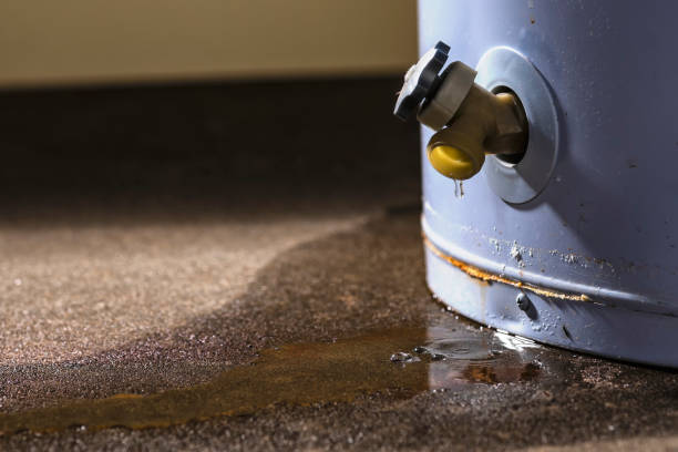 Best Flood restoration services  in Kyle, SD