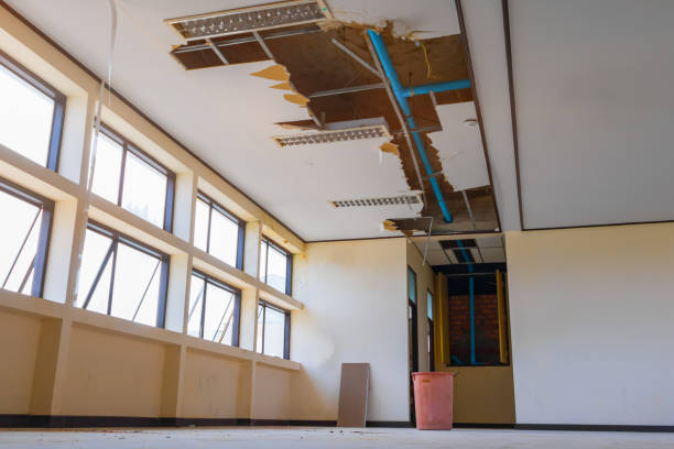 Best Sewage cleanup and water damage restoration  in Kyle, SD