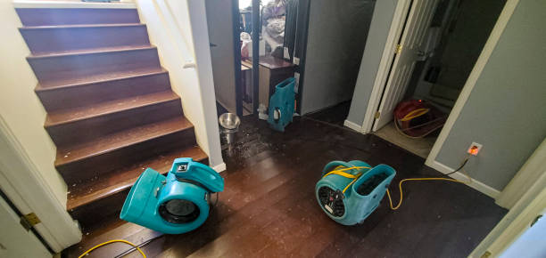  Kyle, SD Water damage restoration Pros