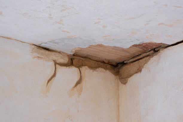 Best Basement water damage restoration  in Kyle, SD