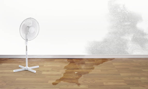 Best Commercial water damage restoration  in Kyle, SD
