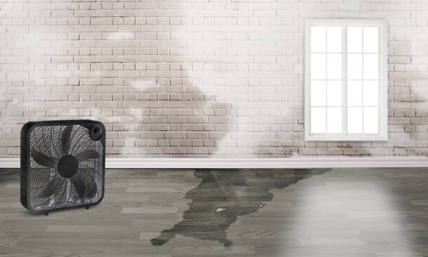 Trusted SD Water damage restoration Experts