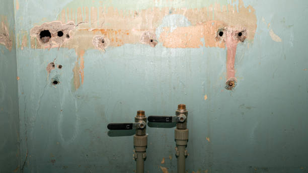 Best Basement water damage restoration  in Kyle, SD