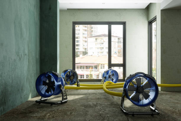 Best Water damage restoration near me  in Kyle, SD
